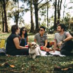 Friends having a fun picnic in the park with a Shih Tzu, enjoying a sunny day outdoors.